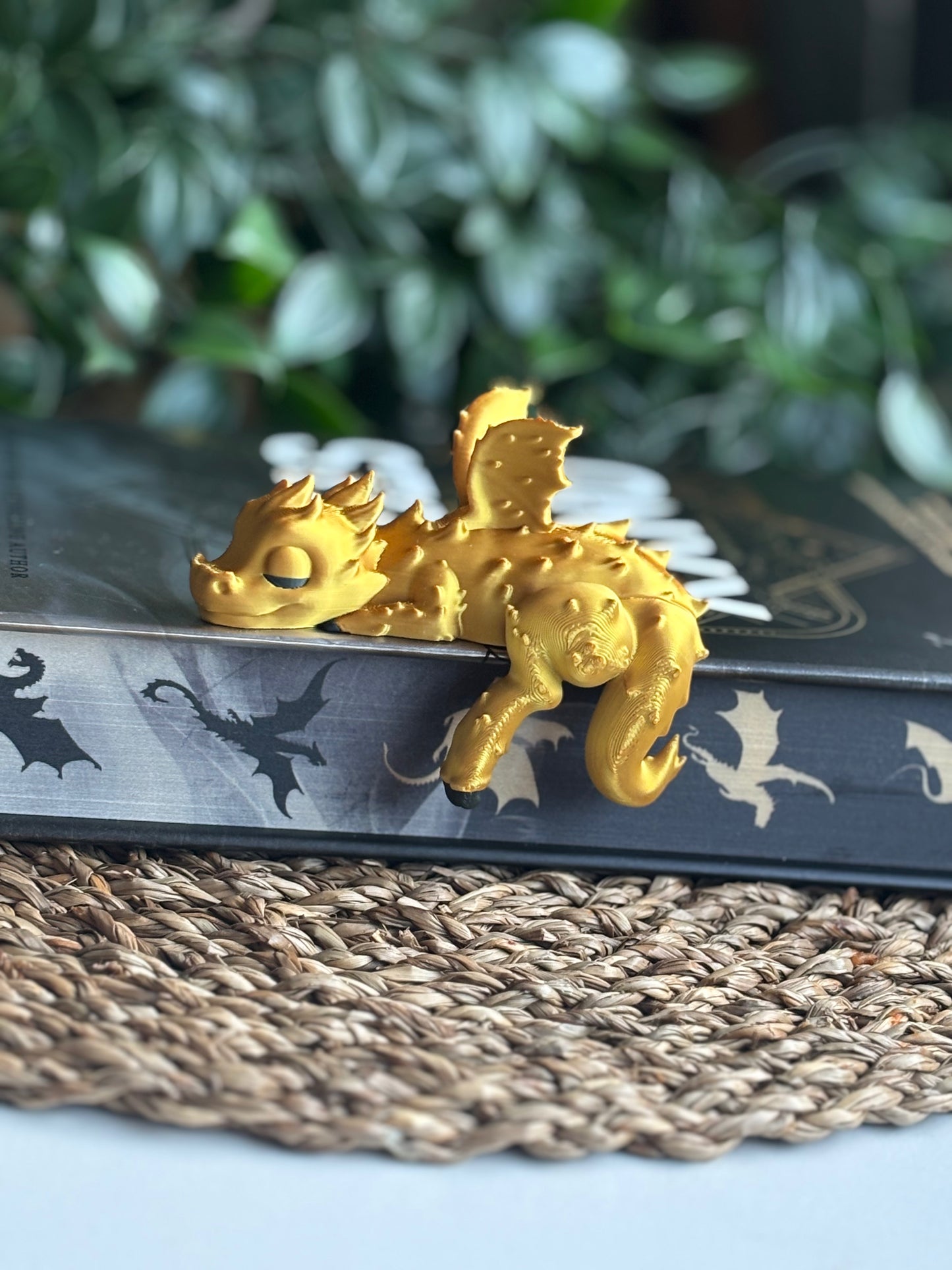 Shelf Sleeping Dragon