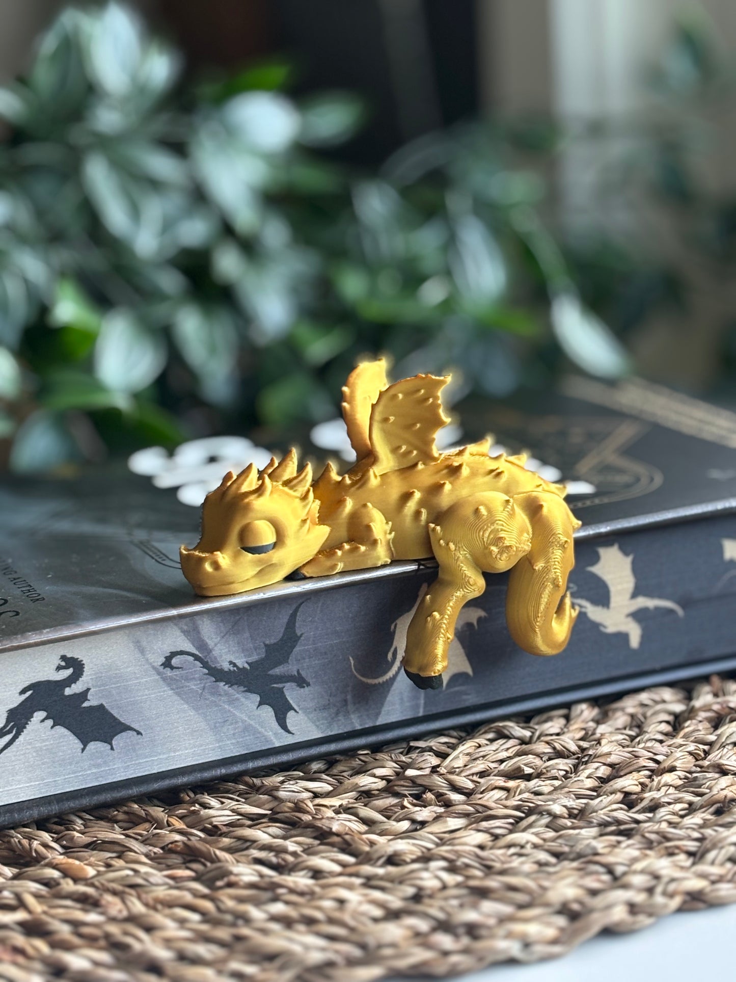 Shelf Sleeping Dragon