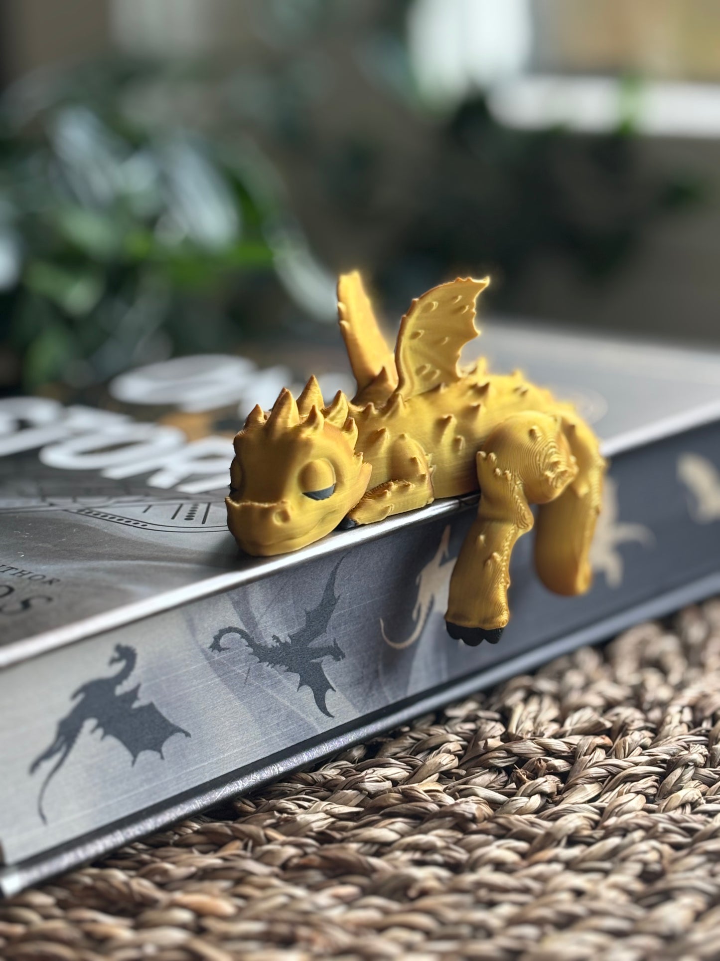 Shelf Sleeping Dragon