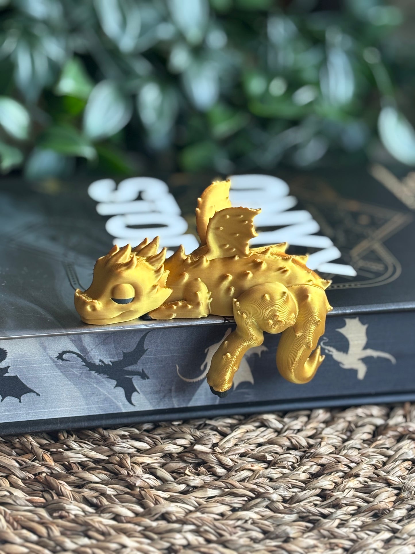 Shelf Sleeping Dragon