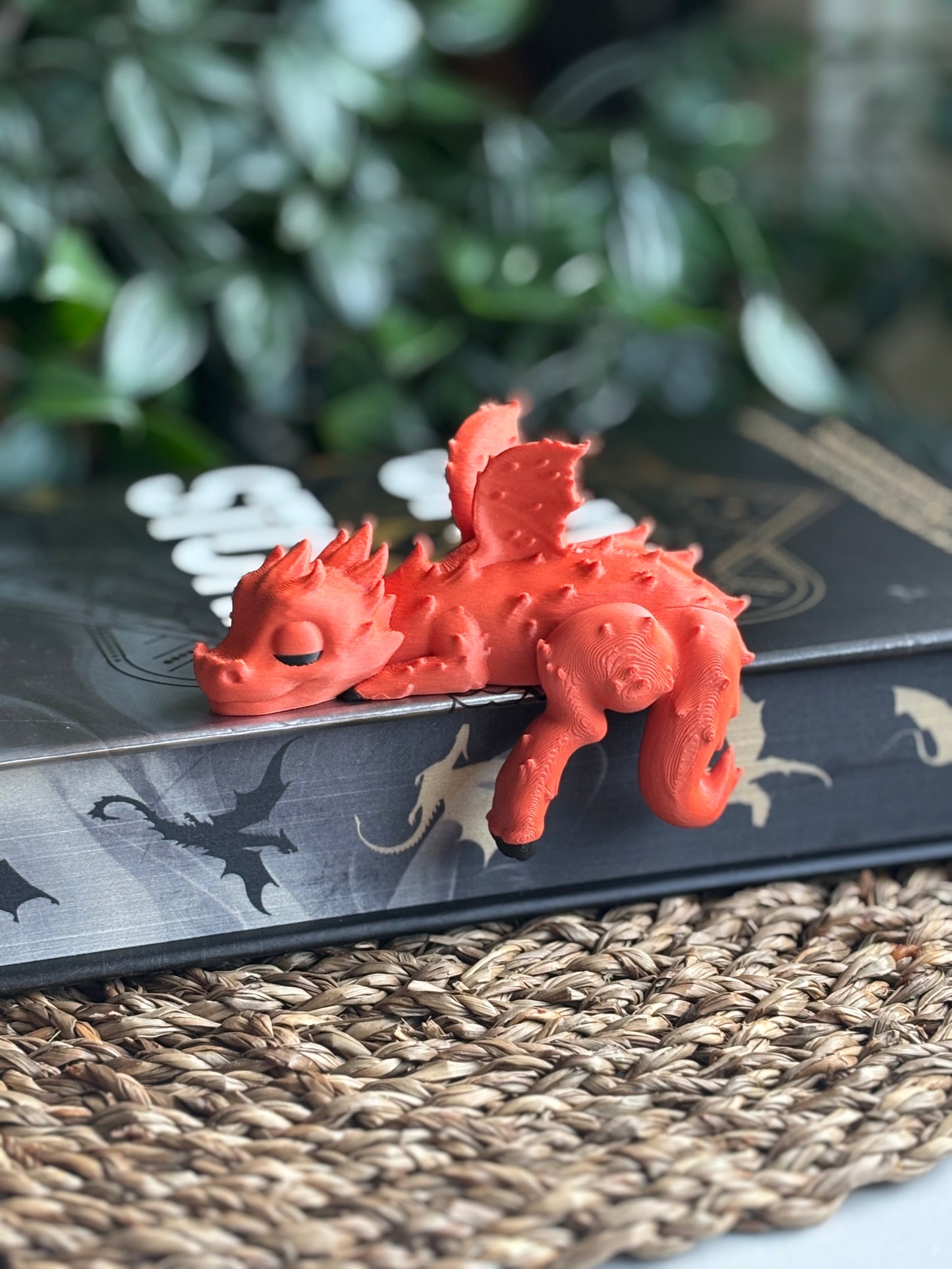 Shelf Sleeping Dragon