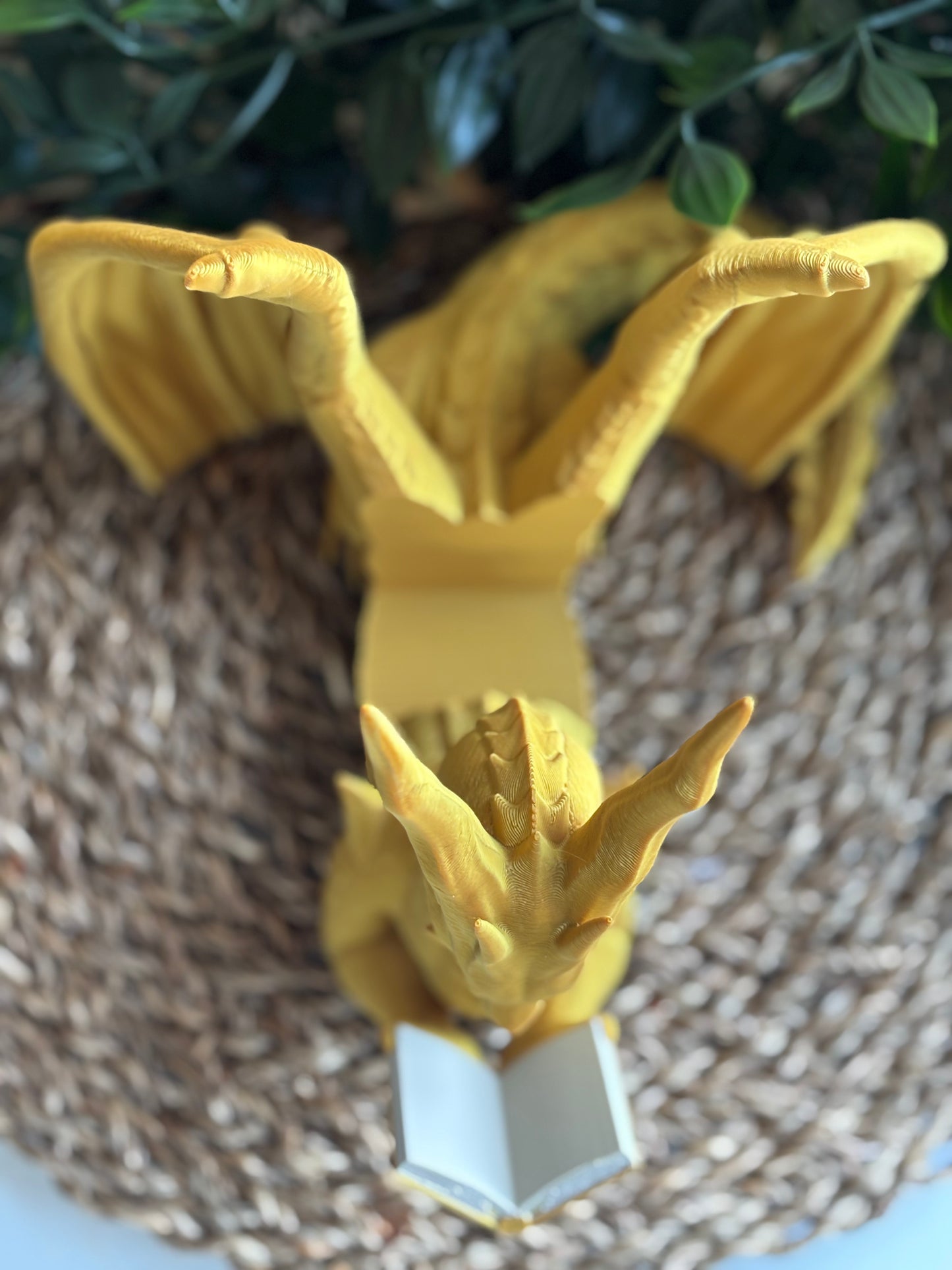 Bookholder Ancient Dragon (B-vare)