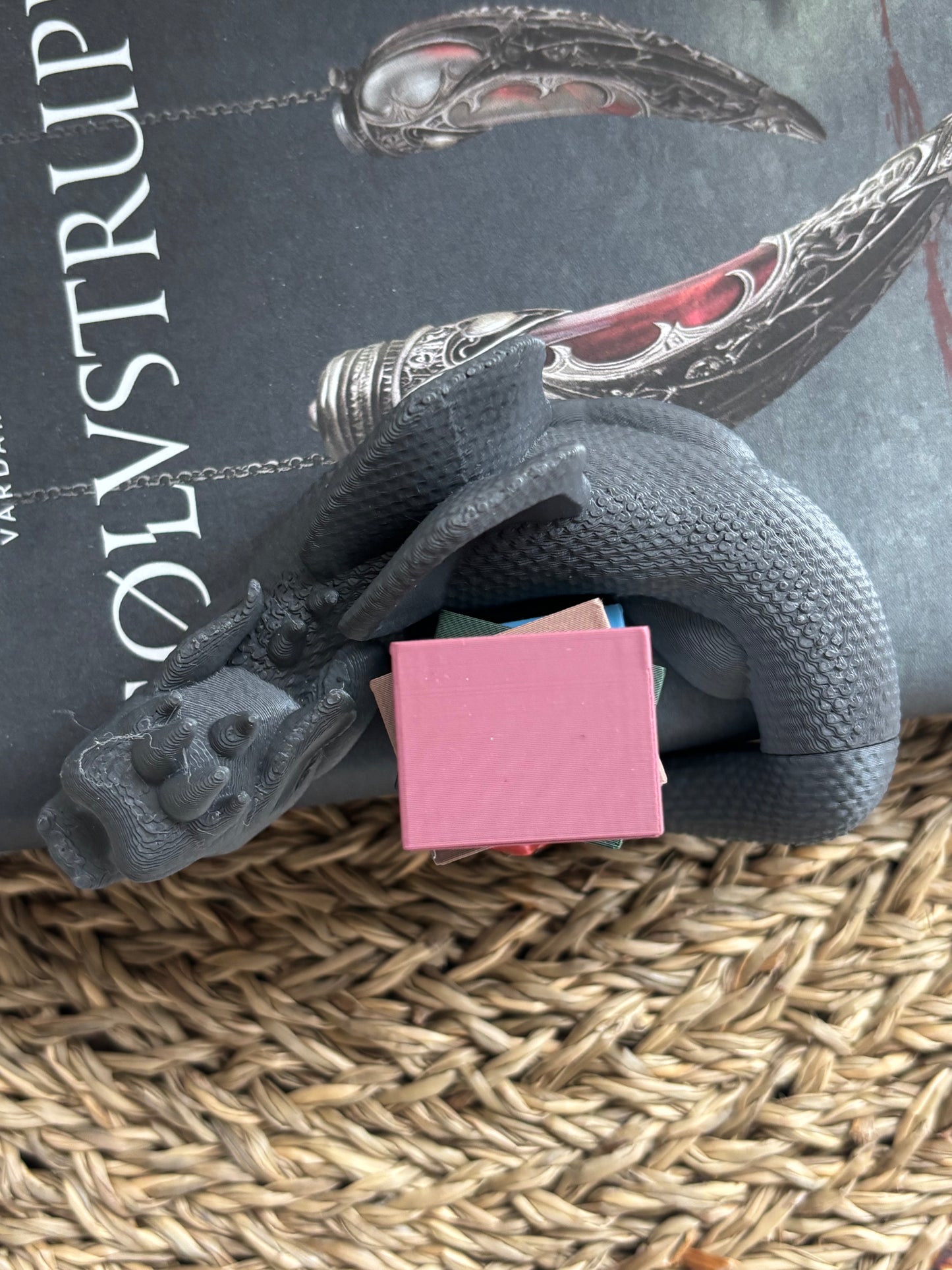 Book Hugging Shelf Sleeping Dragon