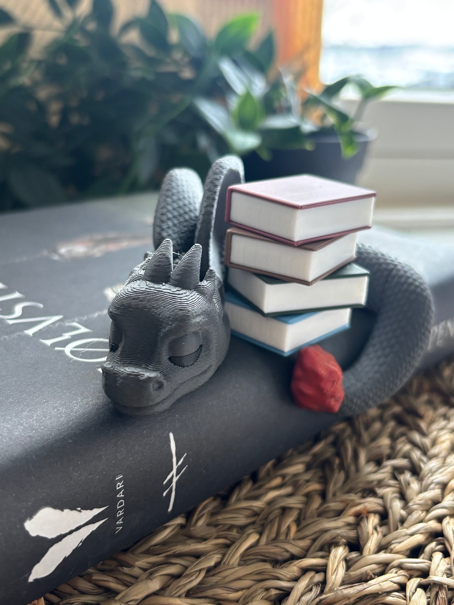 Book Hugging Shelf Sleeping Dragon