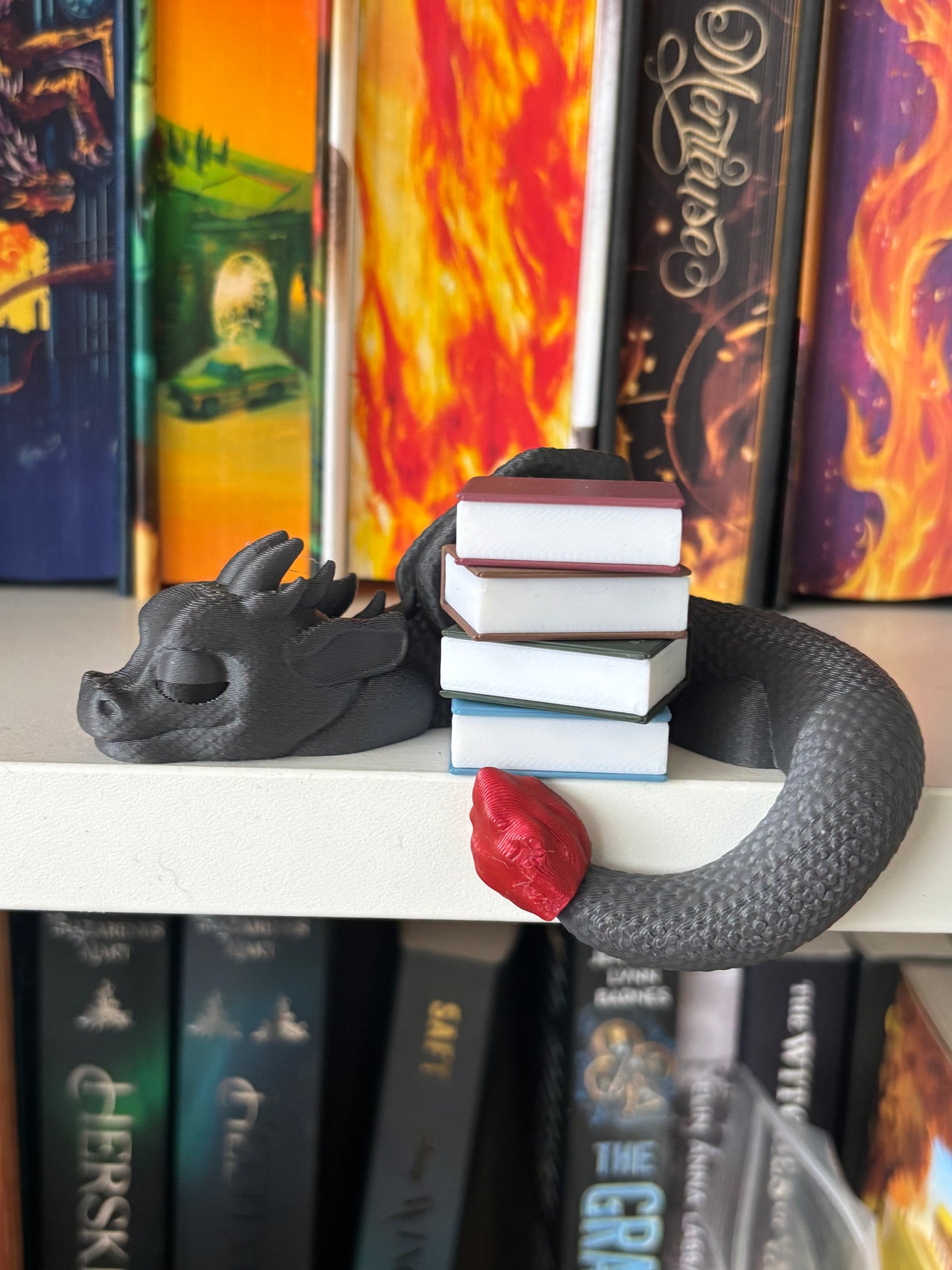 Book Hugging Shelf Sleeping Dragon