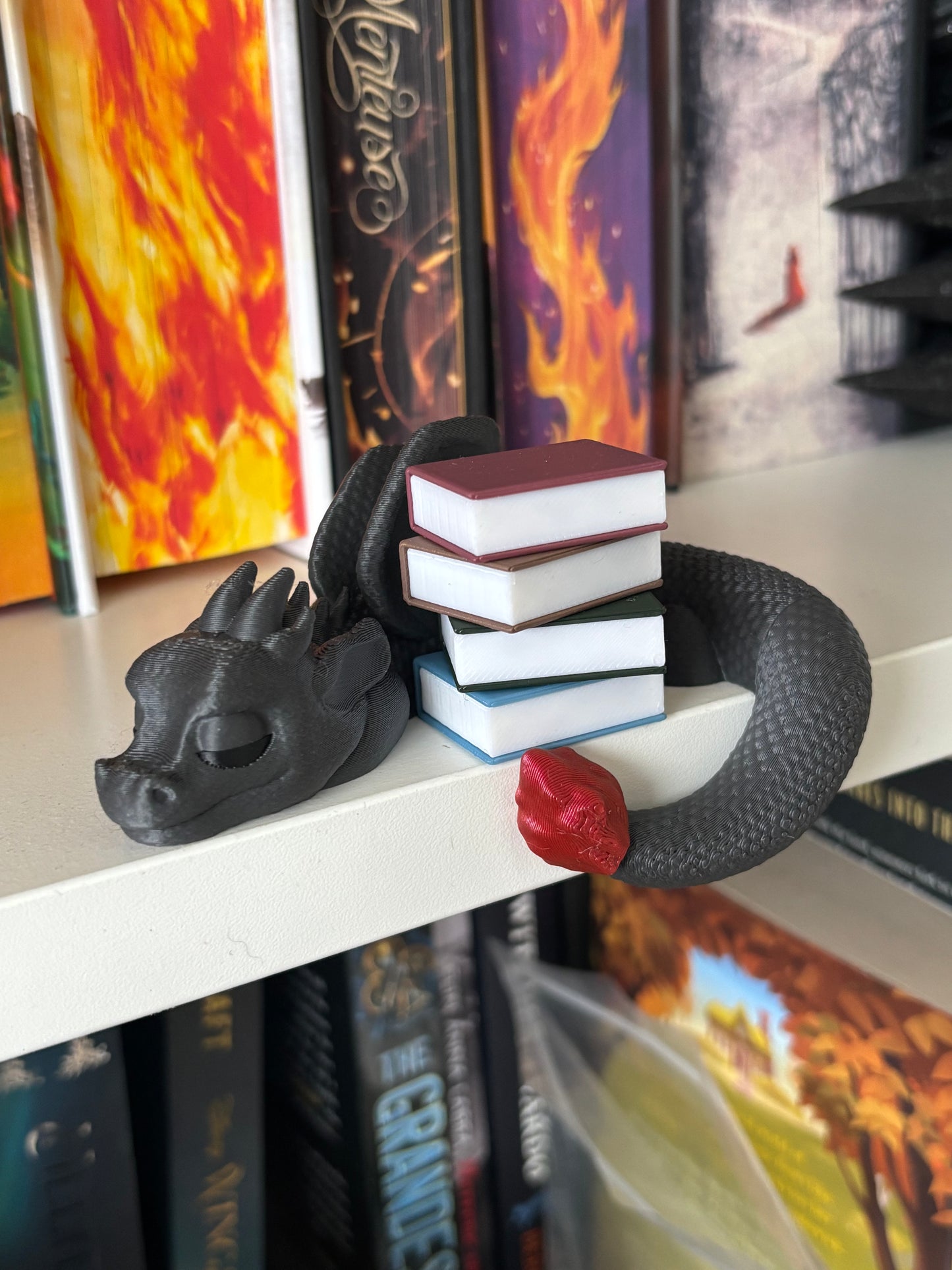 Book Hugging Shelf Sleeping Dragon