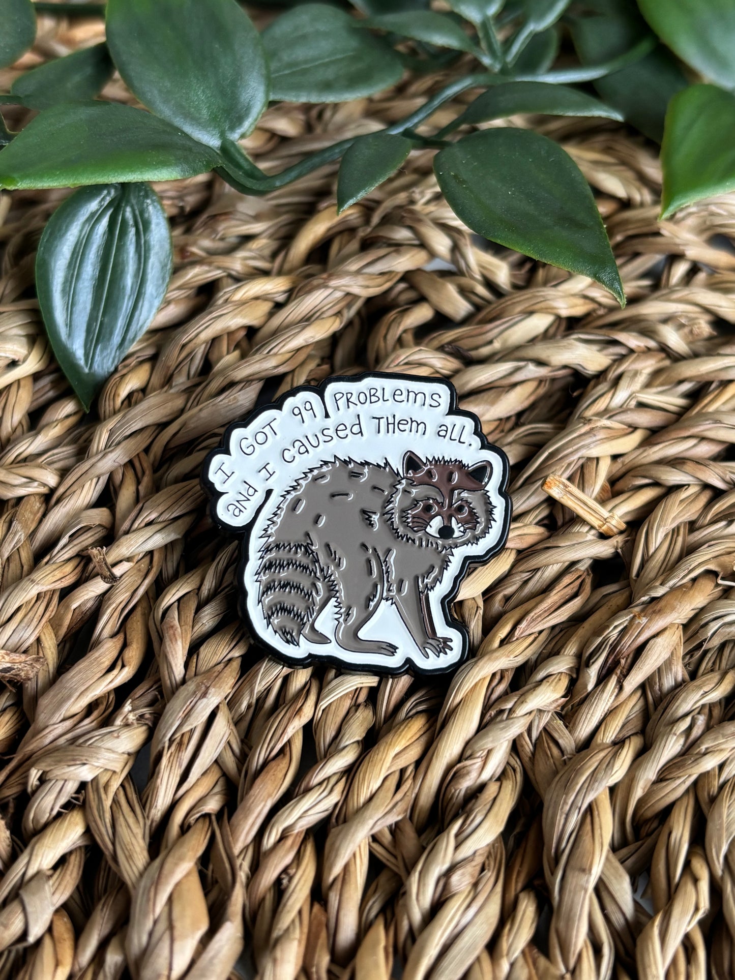 99 Problems and caused them all Pin