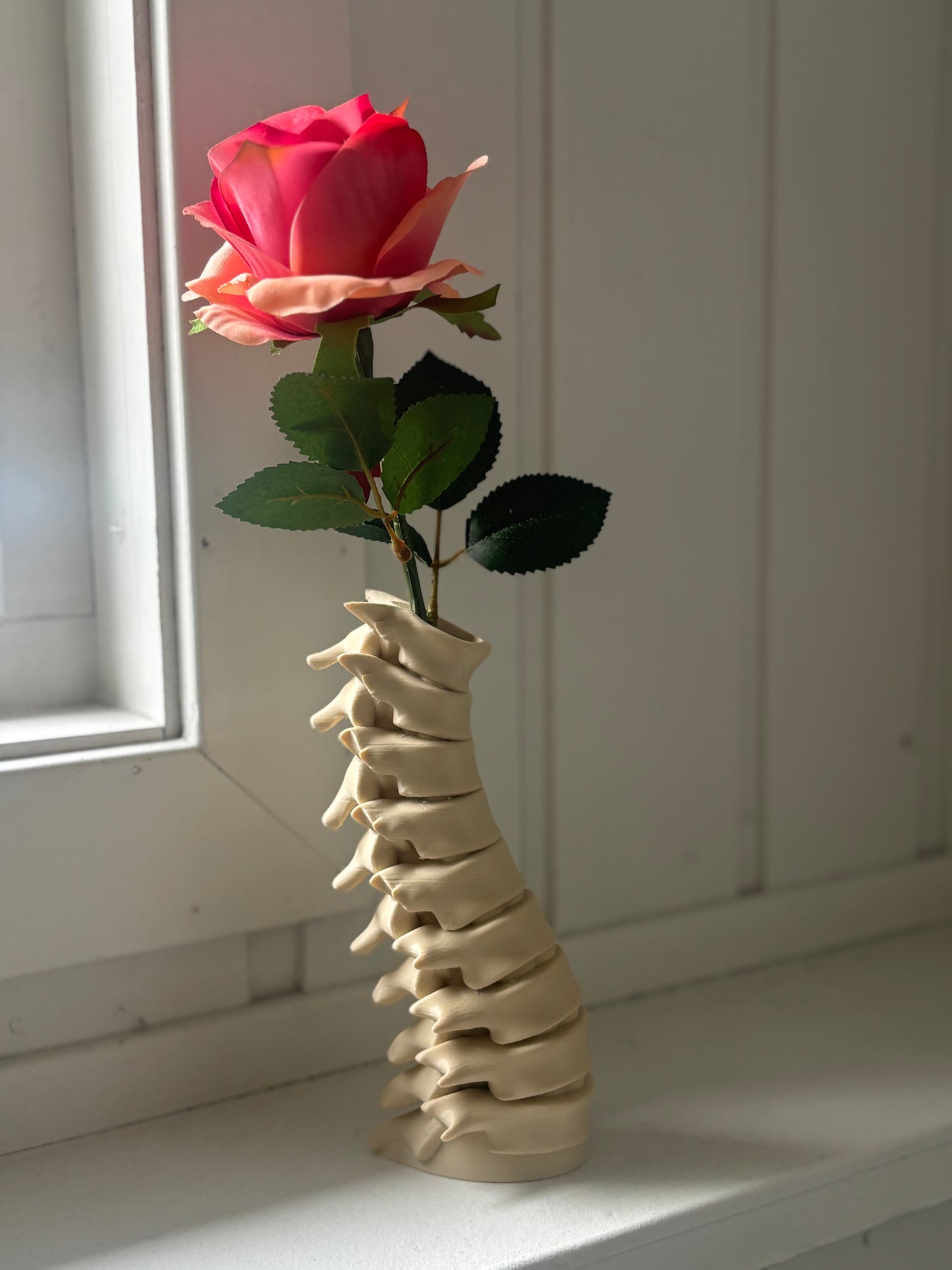 Spine Vase