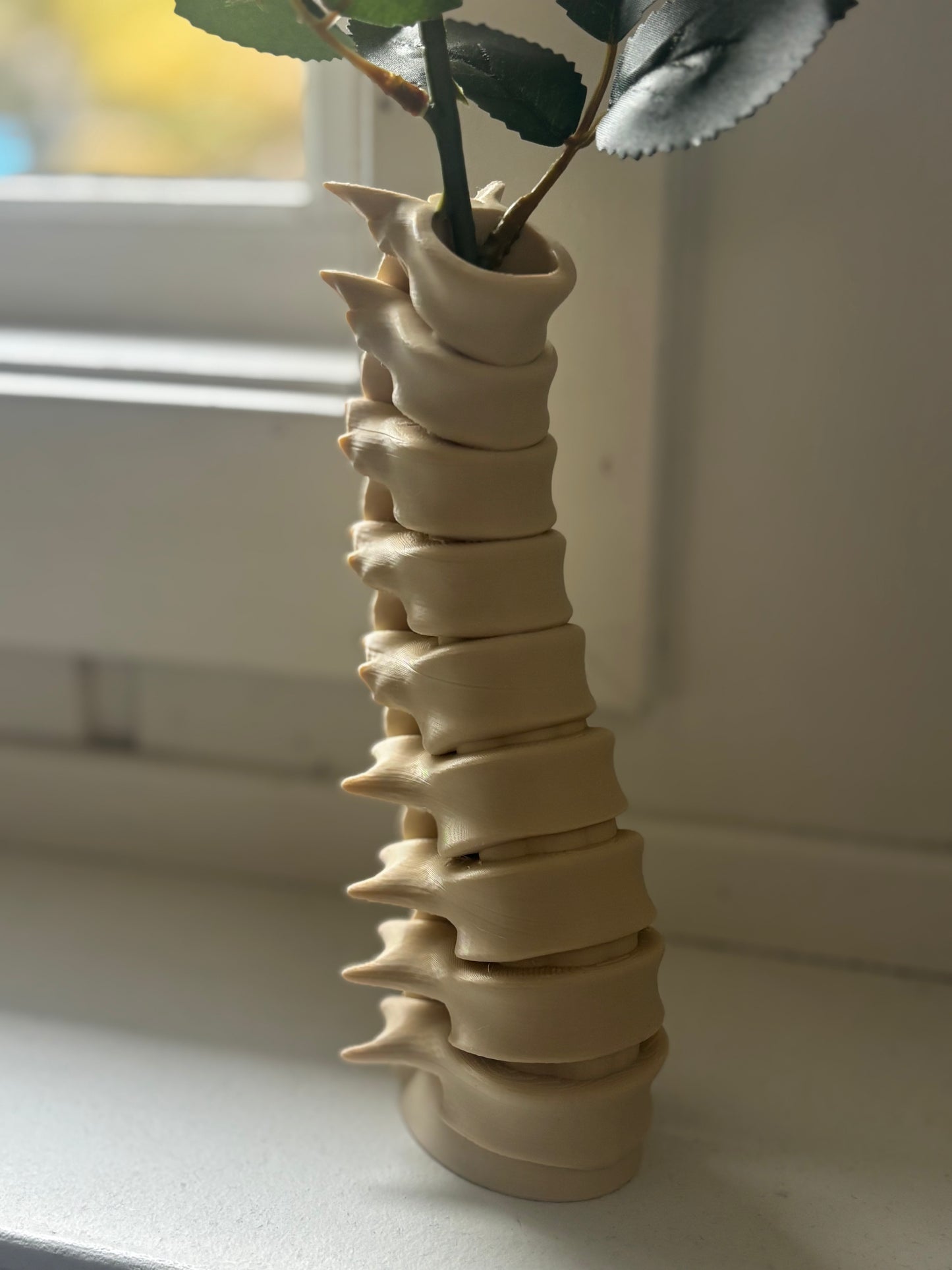 Spine Vase