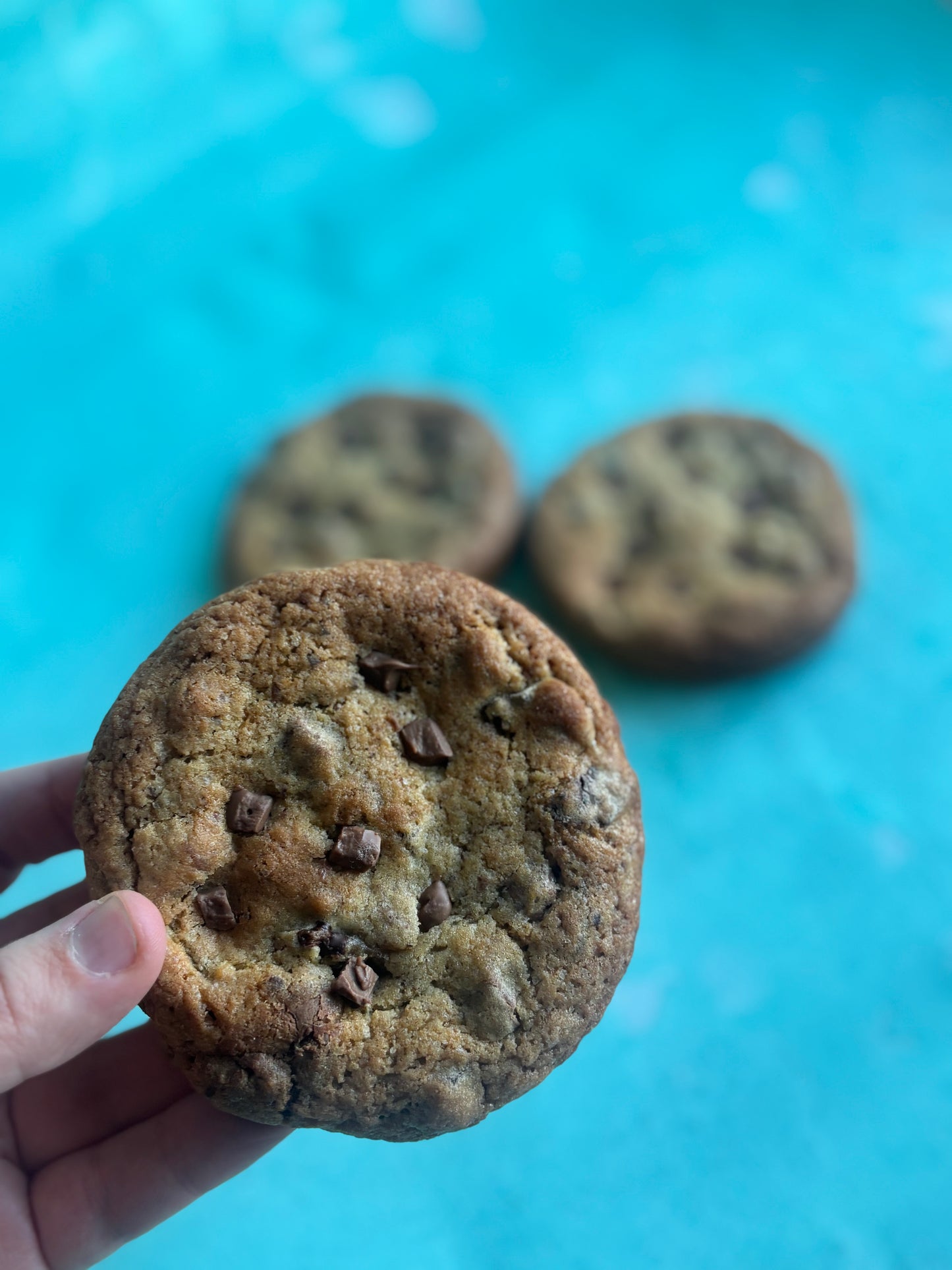 Deep Dish Double Chocolate Cookie