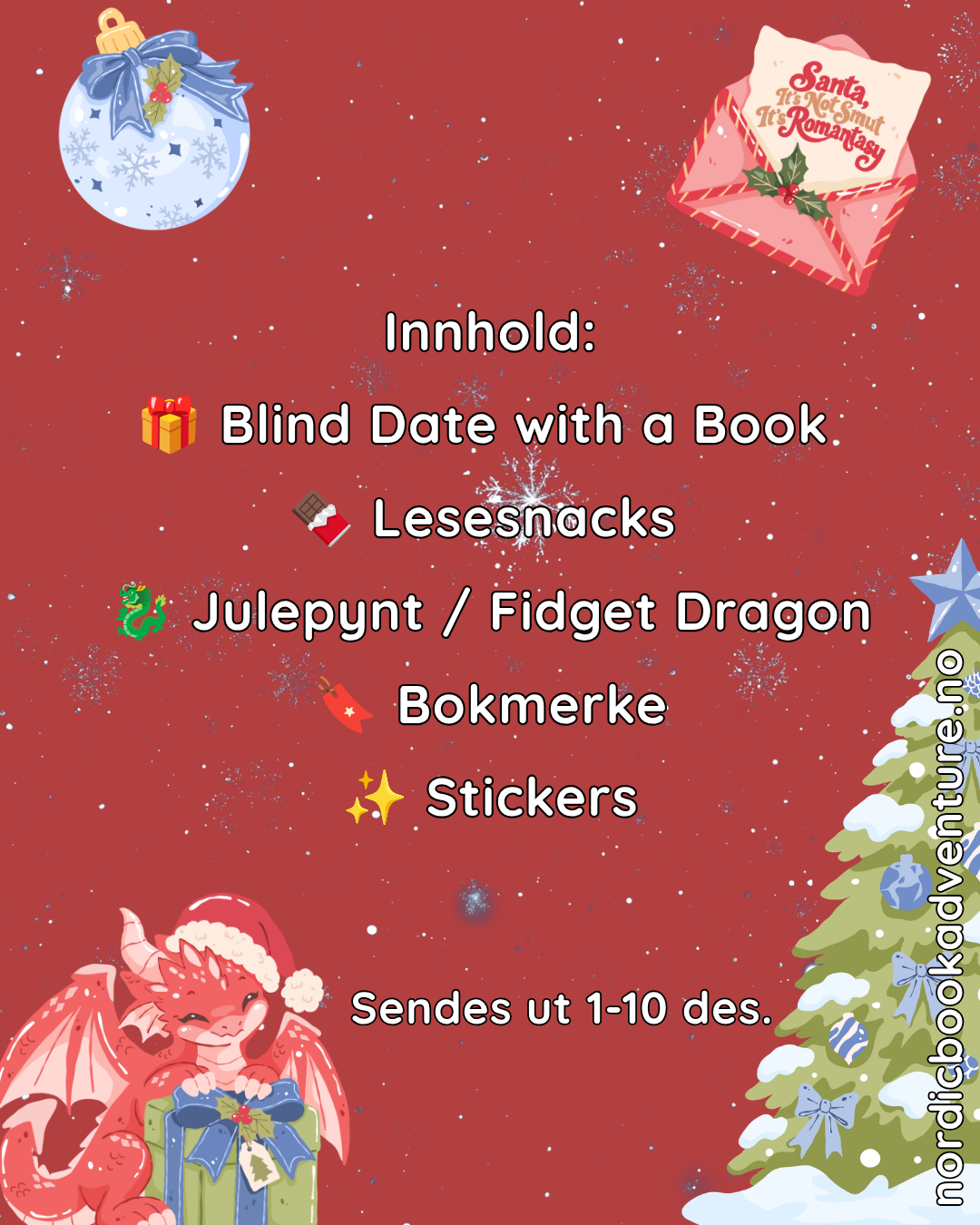 🎅 Santa's Secret Book Box 🎄📚 – Bookish Julebox