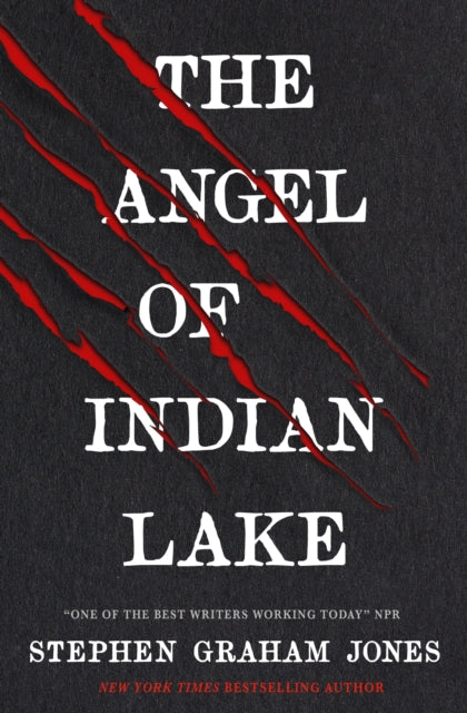 The Angel of Indian Lake - Stephen Graham Jones