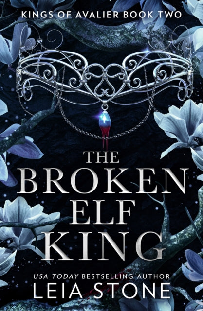 The Broken Elf King - Leia Stone