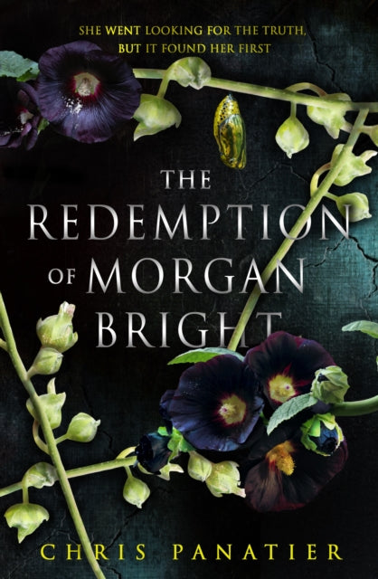 The Redemption of Morgan Bright - Chris Panatier