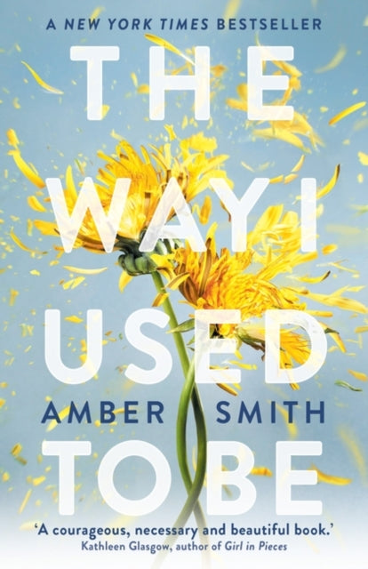 The Way I Used to Be - Amber Smith