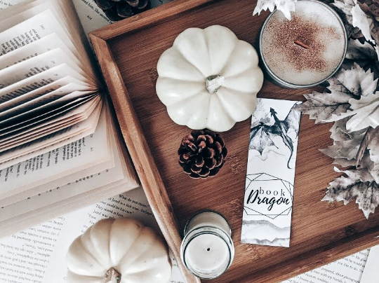 Book Dragon Bokmerke